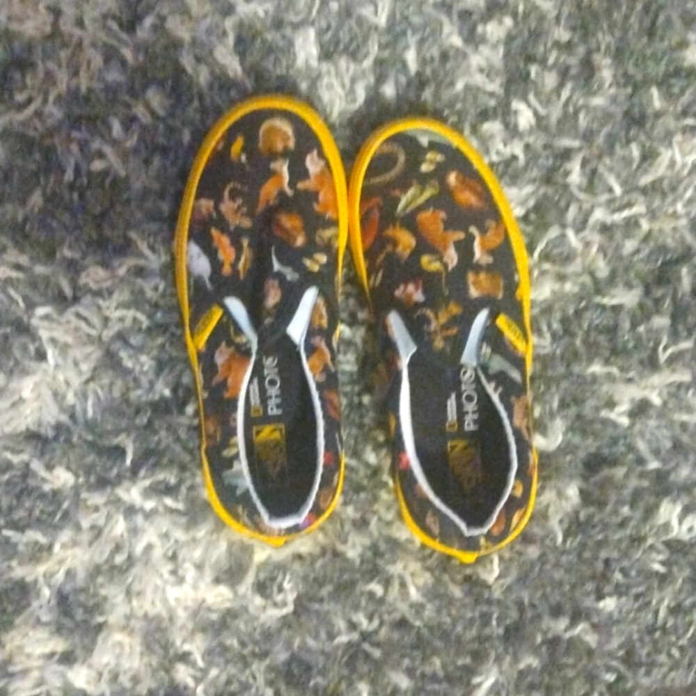 Vans Shoes